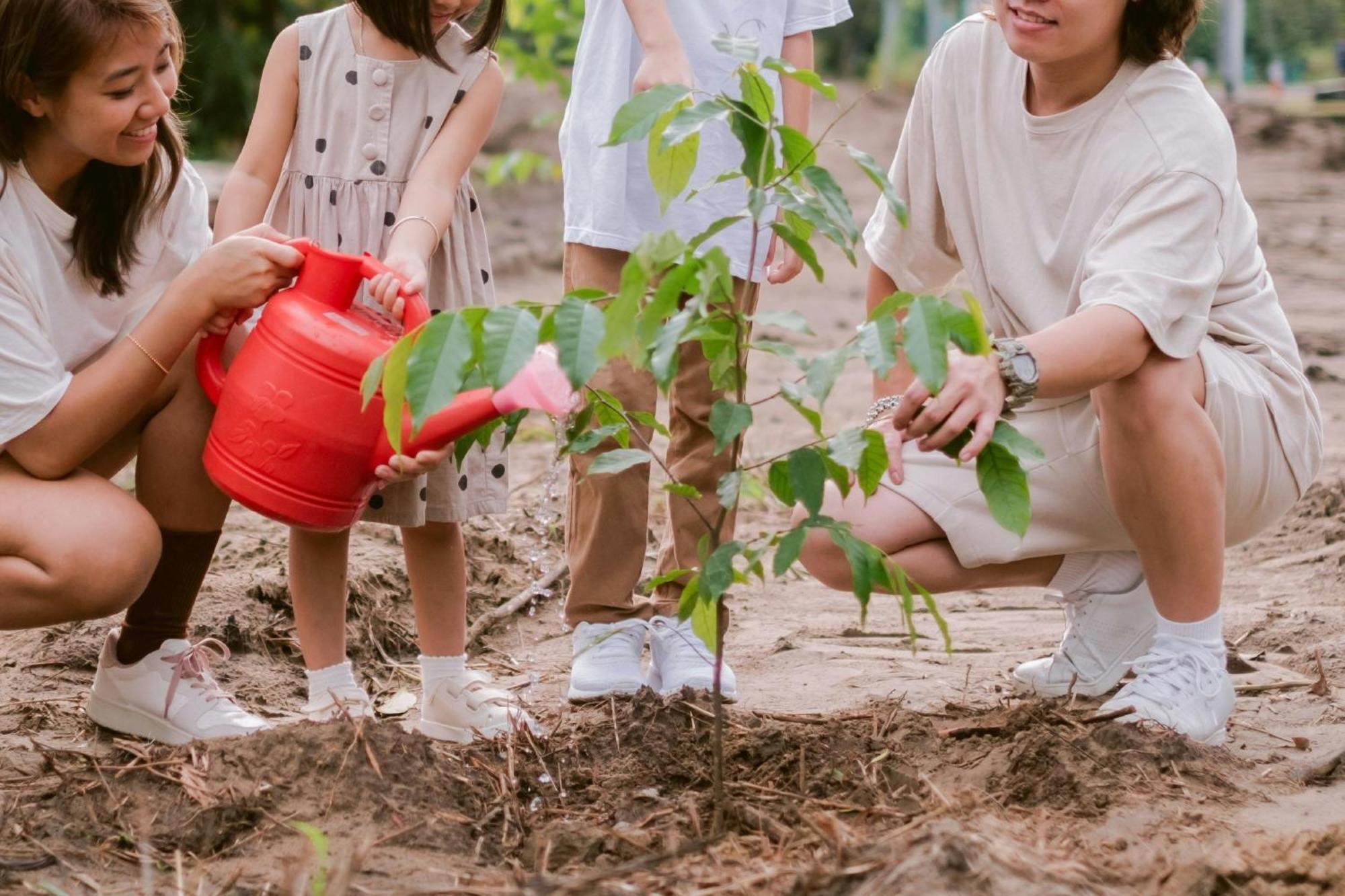 Miri Marriott Resort & Spa Zewnętrze zdjęcie Children planting trees